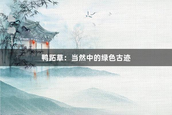 鸭跖草：当然中的绿色古迹